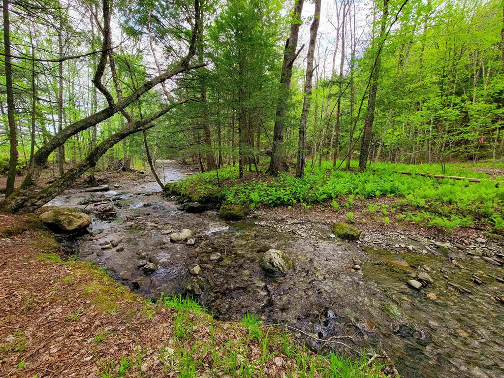 167 High Meadow Road Stowe VT 05672