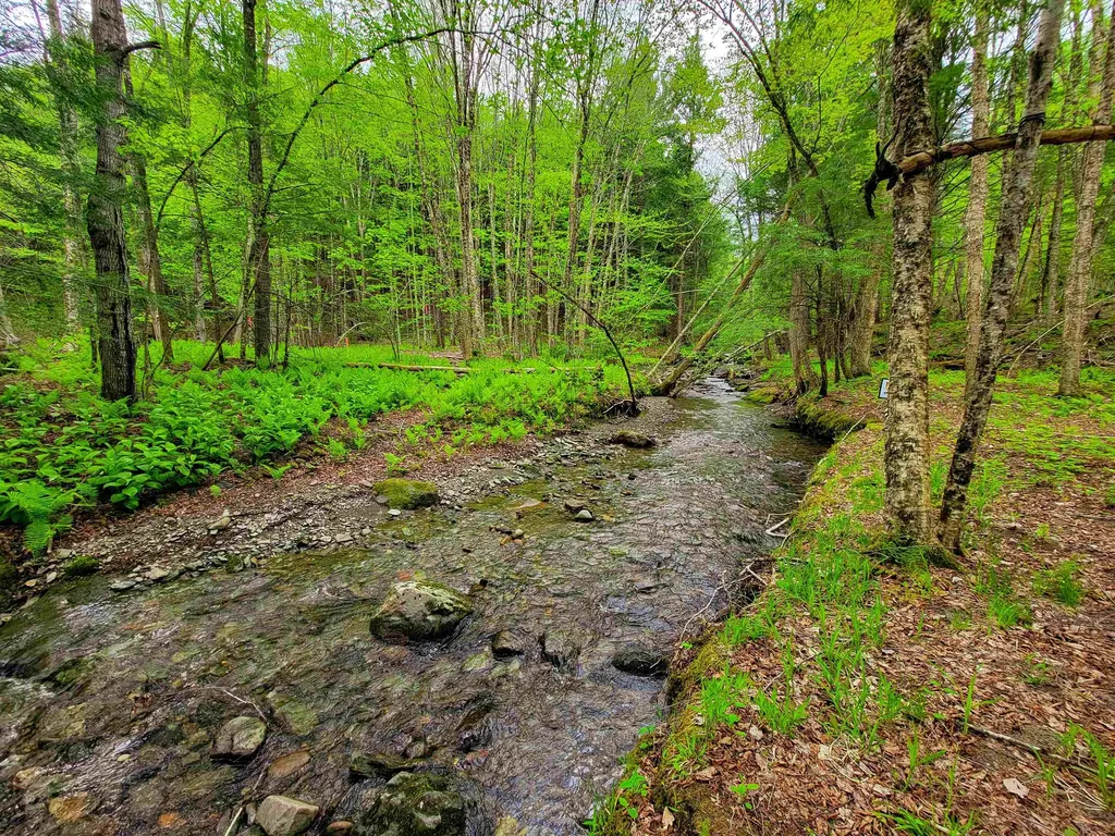 167 High Meadow Road Stowe VT 05672