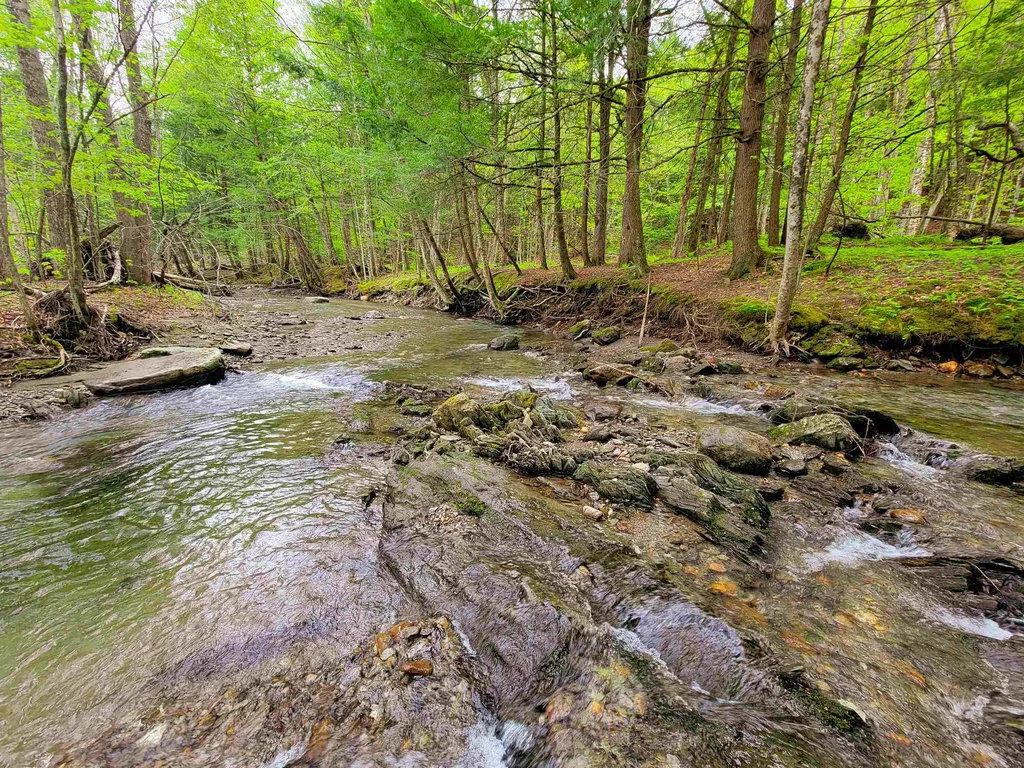 167 High Meadow Road Stowe VT 05672
