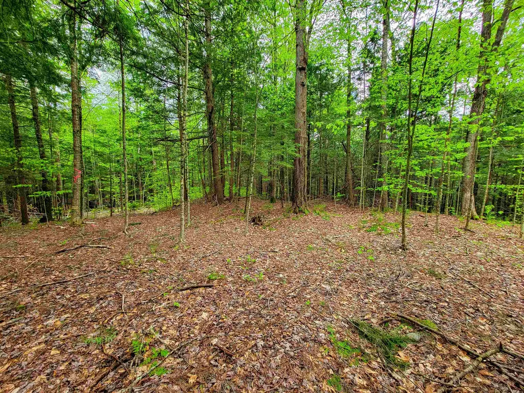 167 High Meadow Road Stowe VT 05672