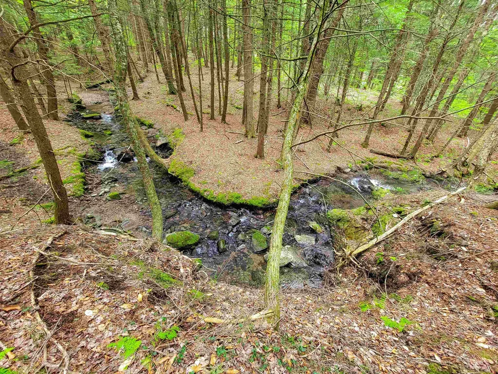 167 High Meadow Road Stowe VT 05672