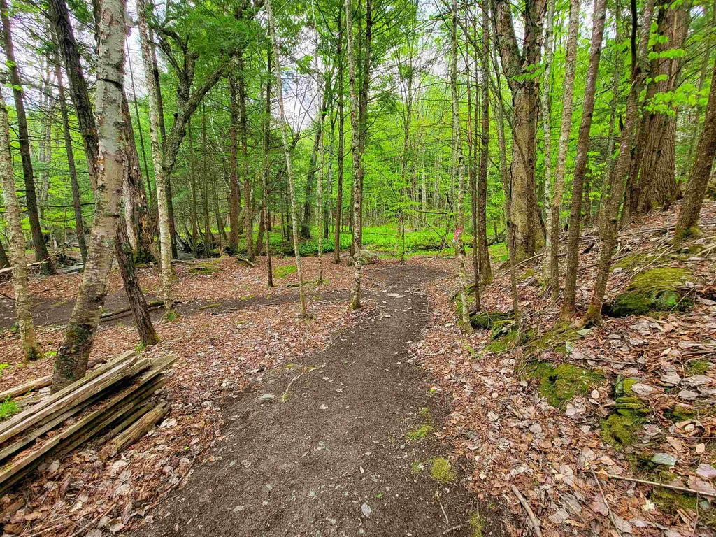 167 High Meadow Road Stowe VT 05672