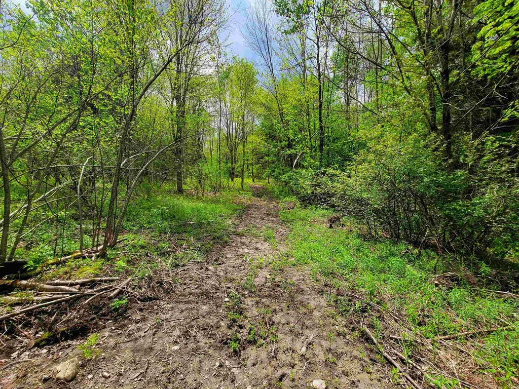 167 High Meadow Road Stowe VT 05672