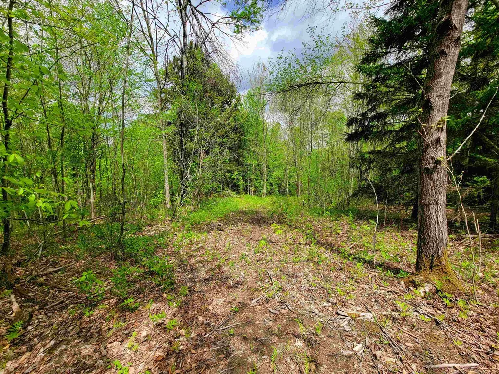 167 High Meadow Road Stowe VT 05672