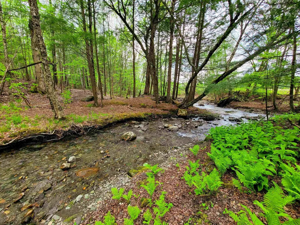 167 High Meadow Road Stowe VT 05672
