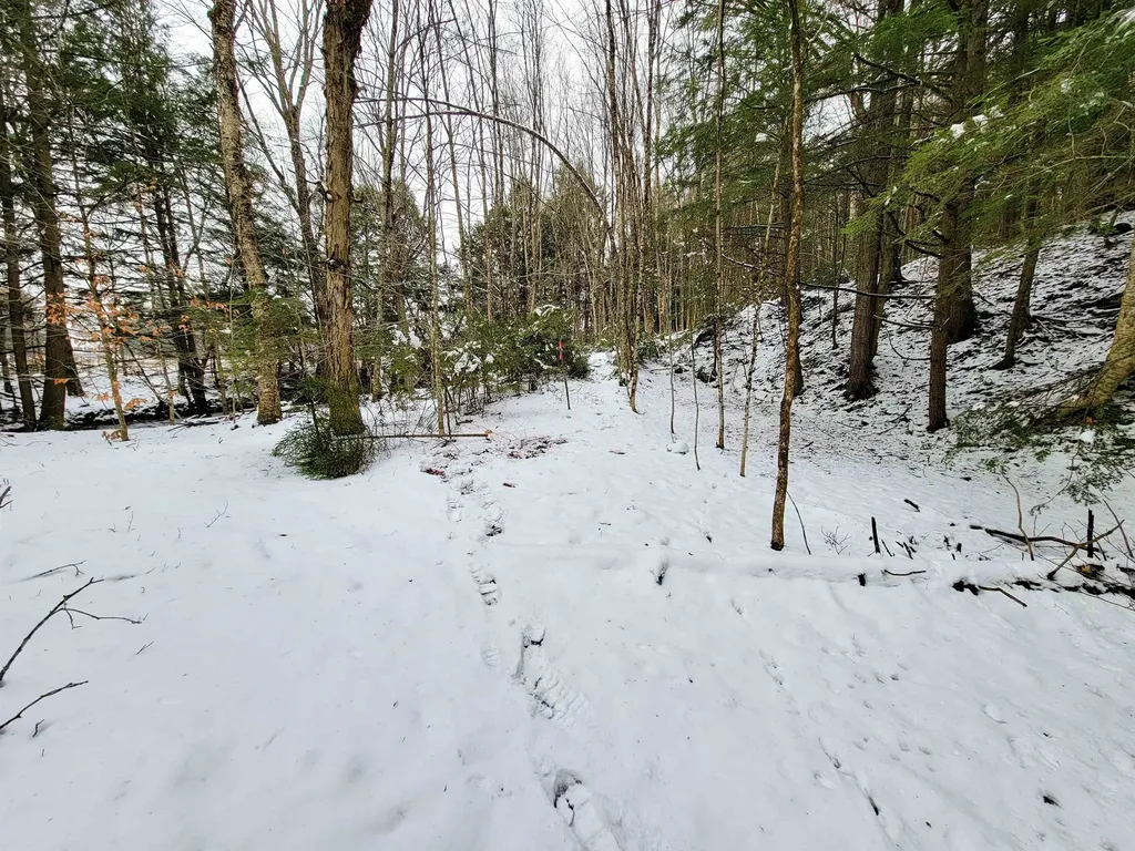 167 High Meadow Road Stowe VT 05672