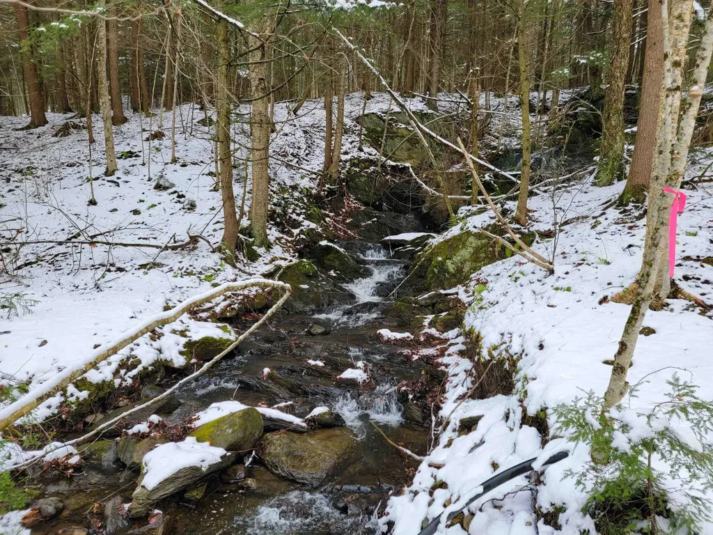 167 High Meadow Road Stowe VT 05672