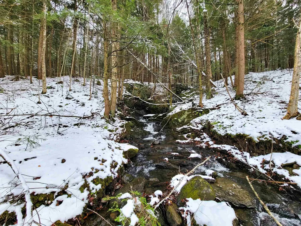 167 High Meadow Road Stowe VT 05672