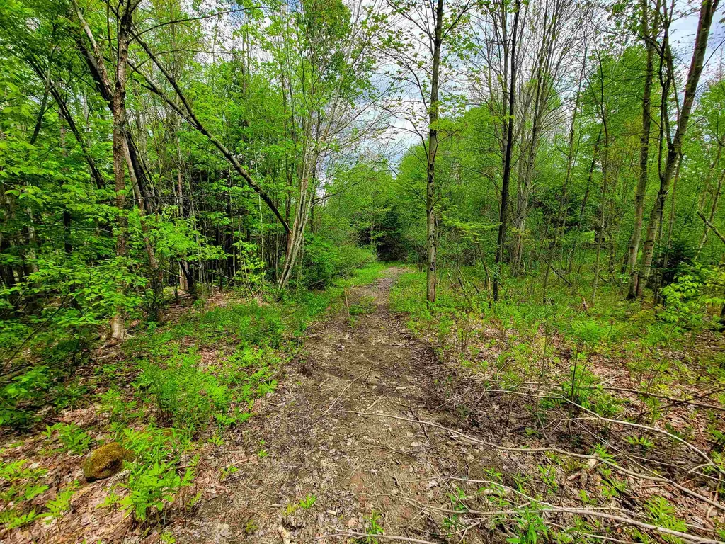167 High Meadow Road Stowe VT 05672