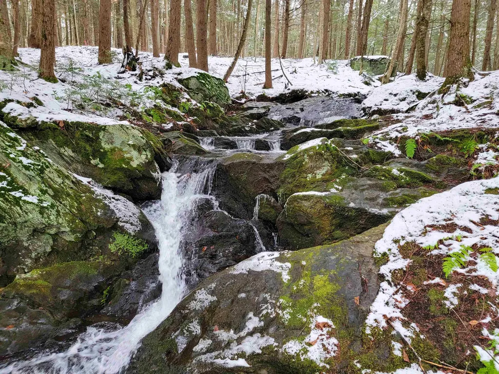 167 High Meadow Road Stowe VT 05672