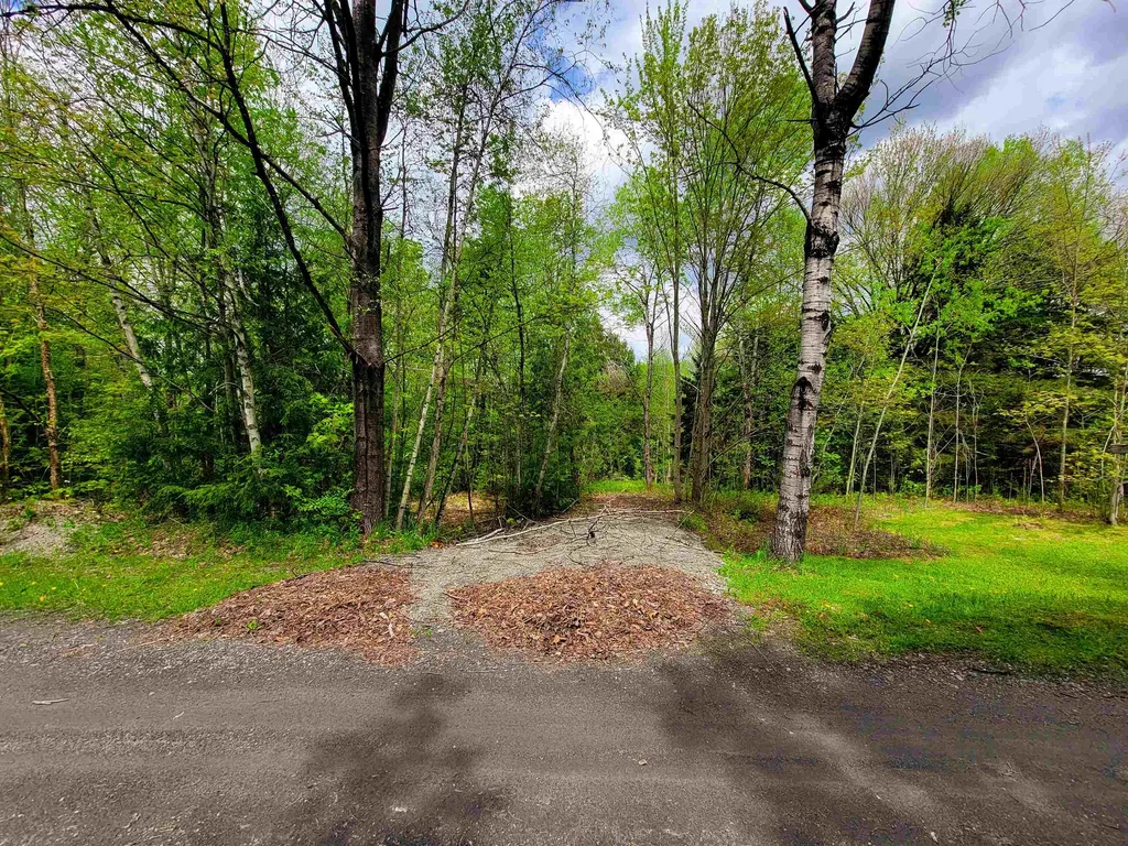 167 High Meadow Road Stowe VT 05672
