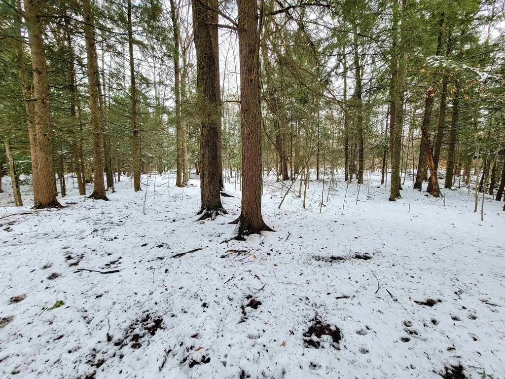 167 High Meadow Road Stowe VT 05672