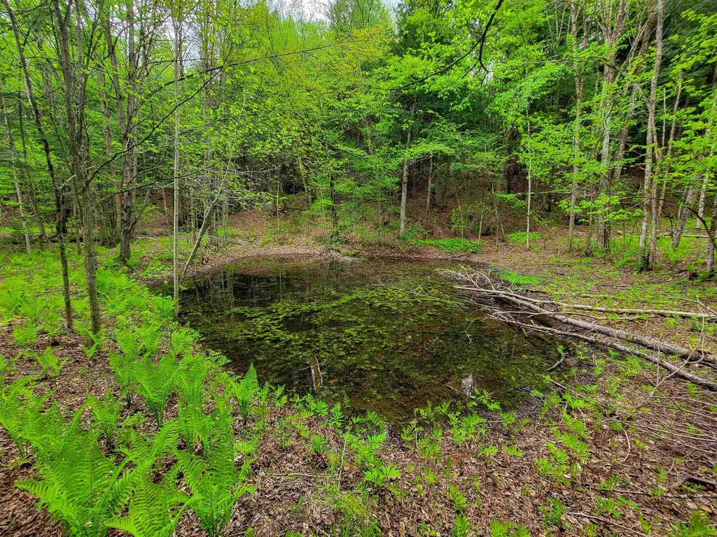 167 High Meadow Road Stowe VT 05672