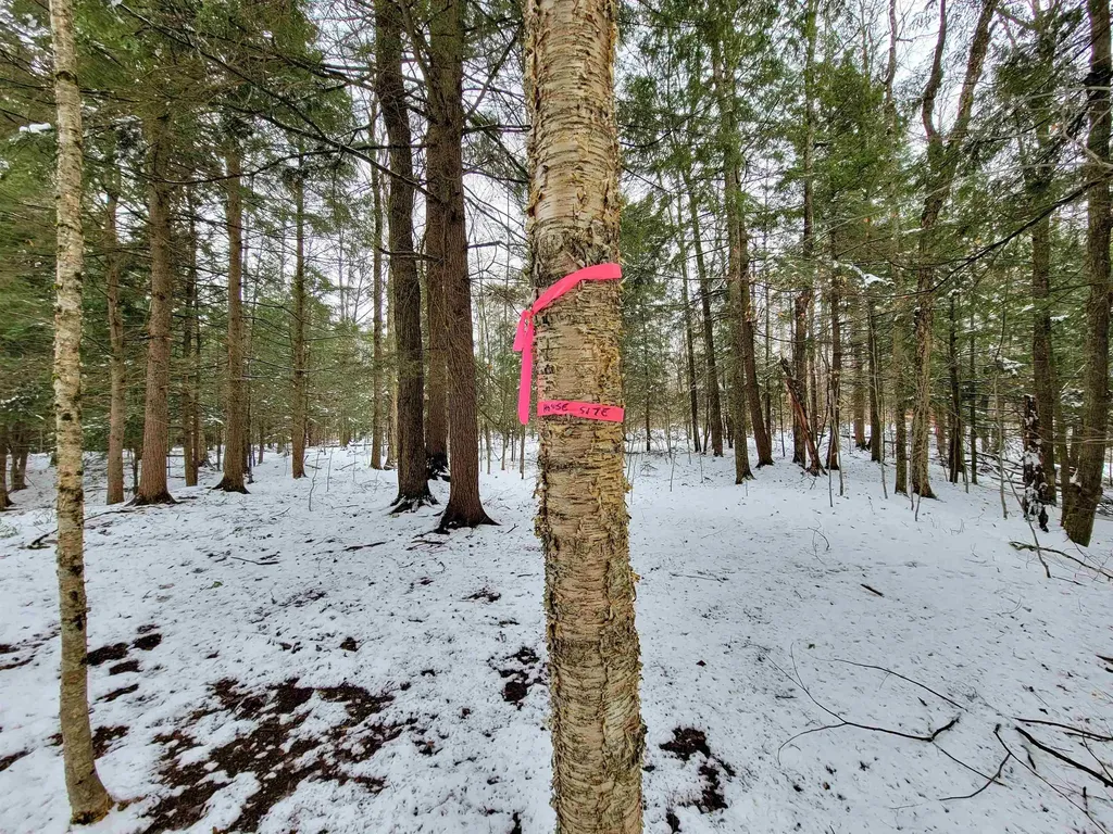 167 High Meadow Road Stowe VT 05672