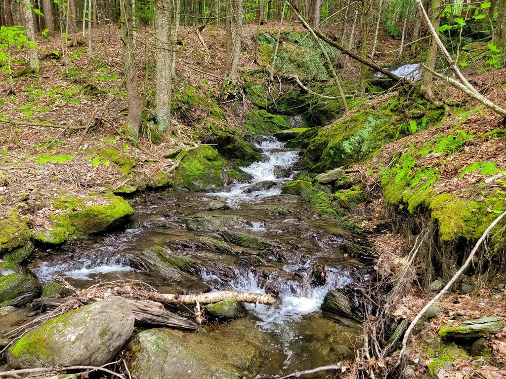 167 High Meadow Road Stowe VT 05672