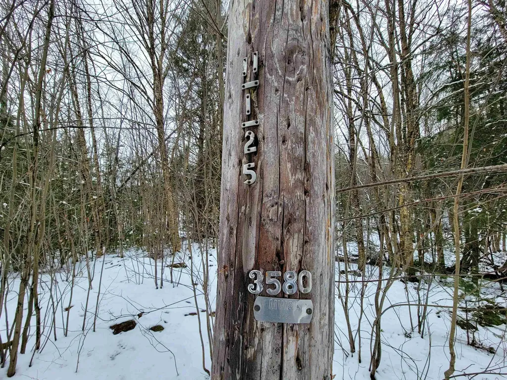 167 High Meadow Road Stowe VT 05672