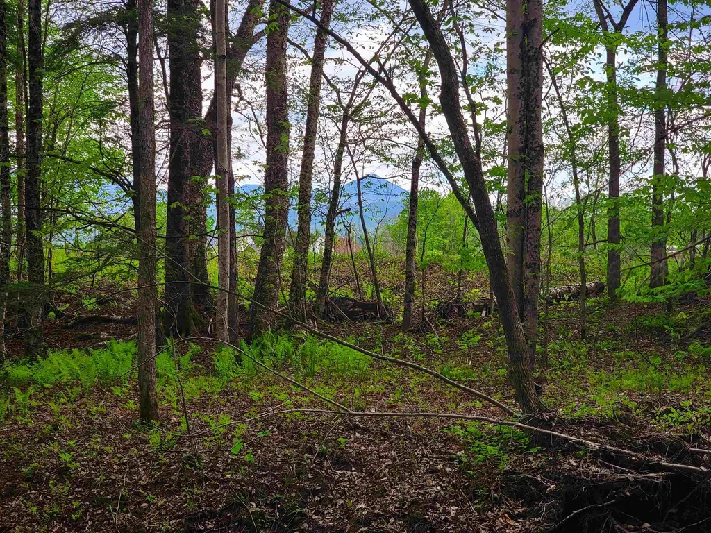 167 High Meadow Road Stowe VT 05672