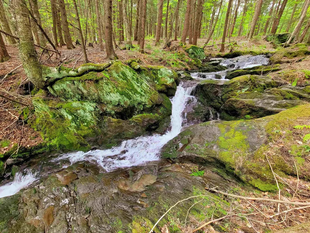 167 High Meadow Road Stowe VT 05672