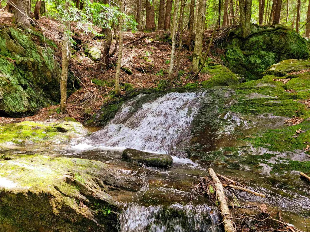 167 High Meadow Road Stowe VT 05672