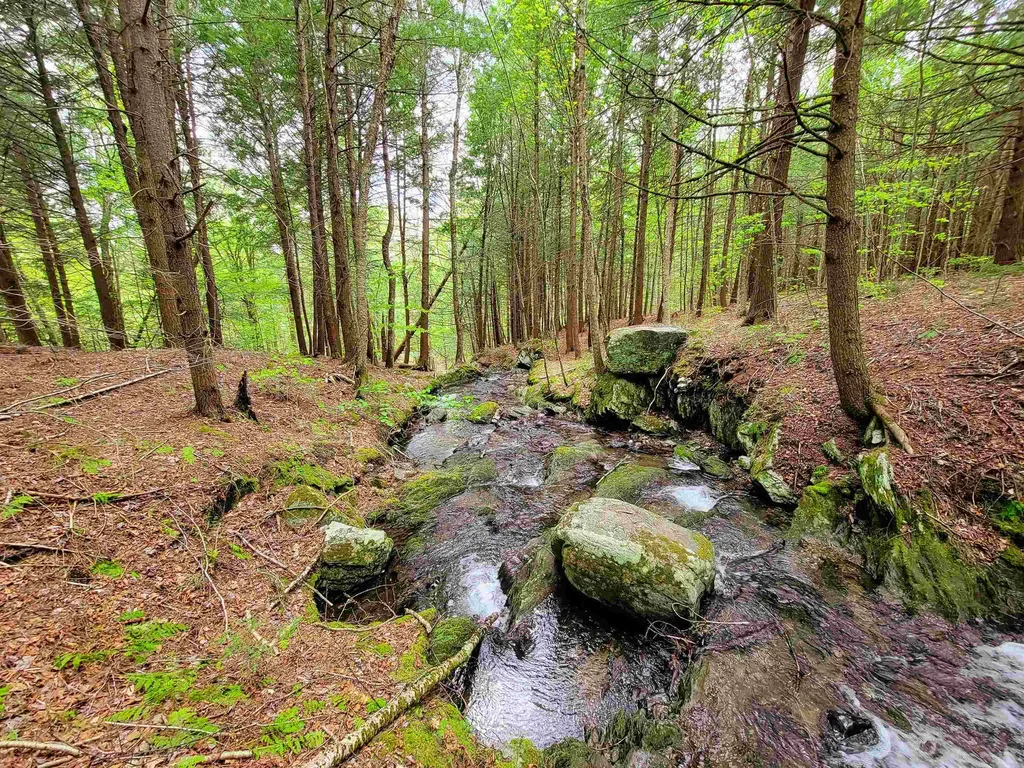167 High Meadow Road Stowe VT 05672