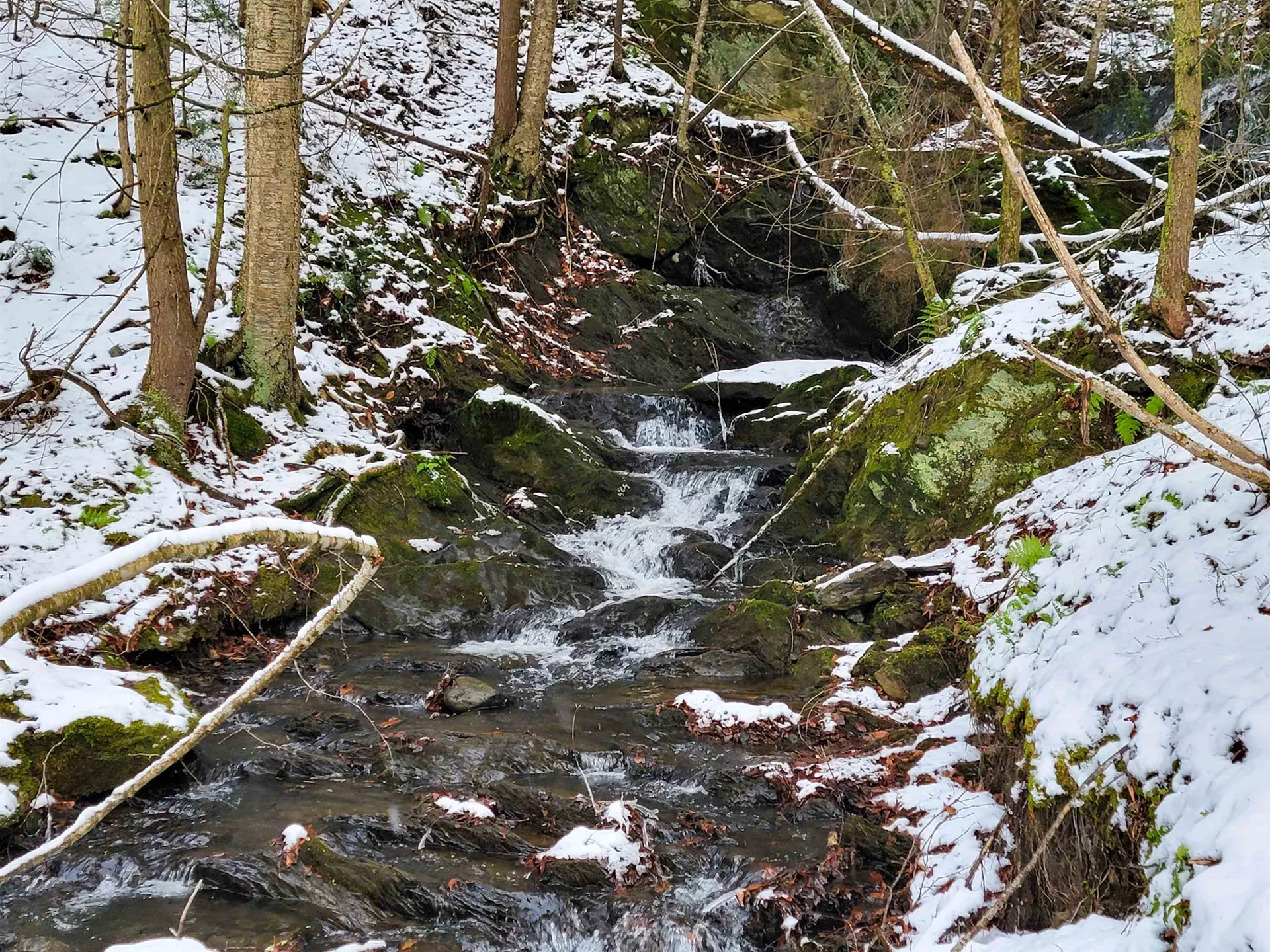 167 High Meadow Road Stowe VT 05672