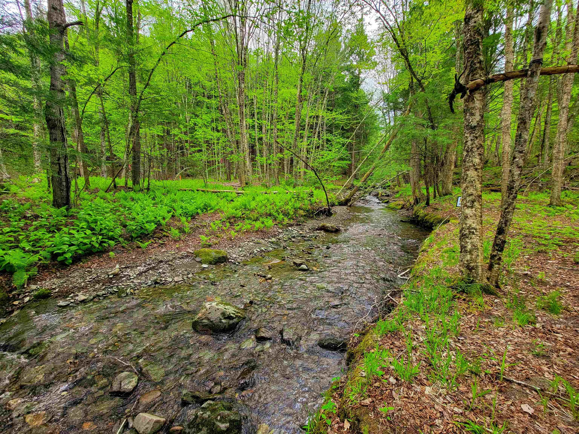 167 High Meadow Road Stowe VT 05672