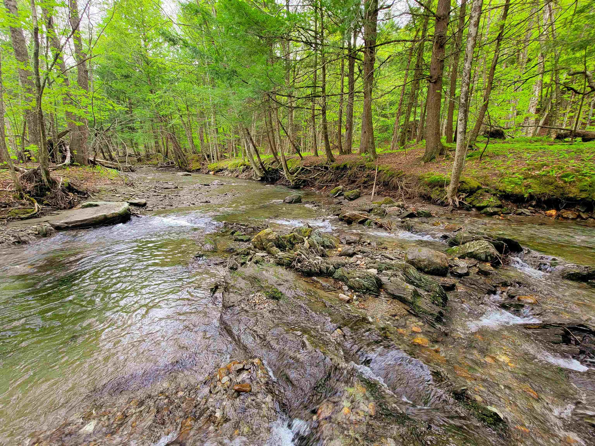 167 High Meadow Road Stowe VT 05672