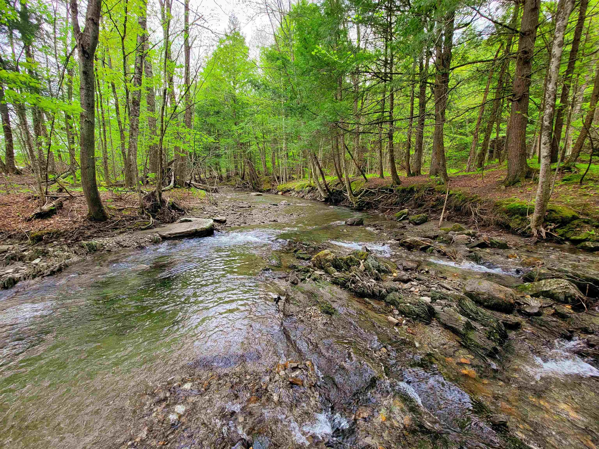 167 High Meadow Road Stowe VT 05672
