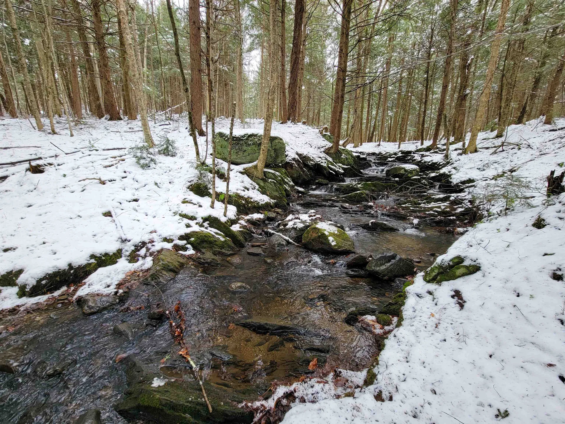 167 High Meadow Road Stowe VT 05672