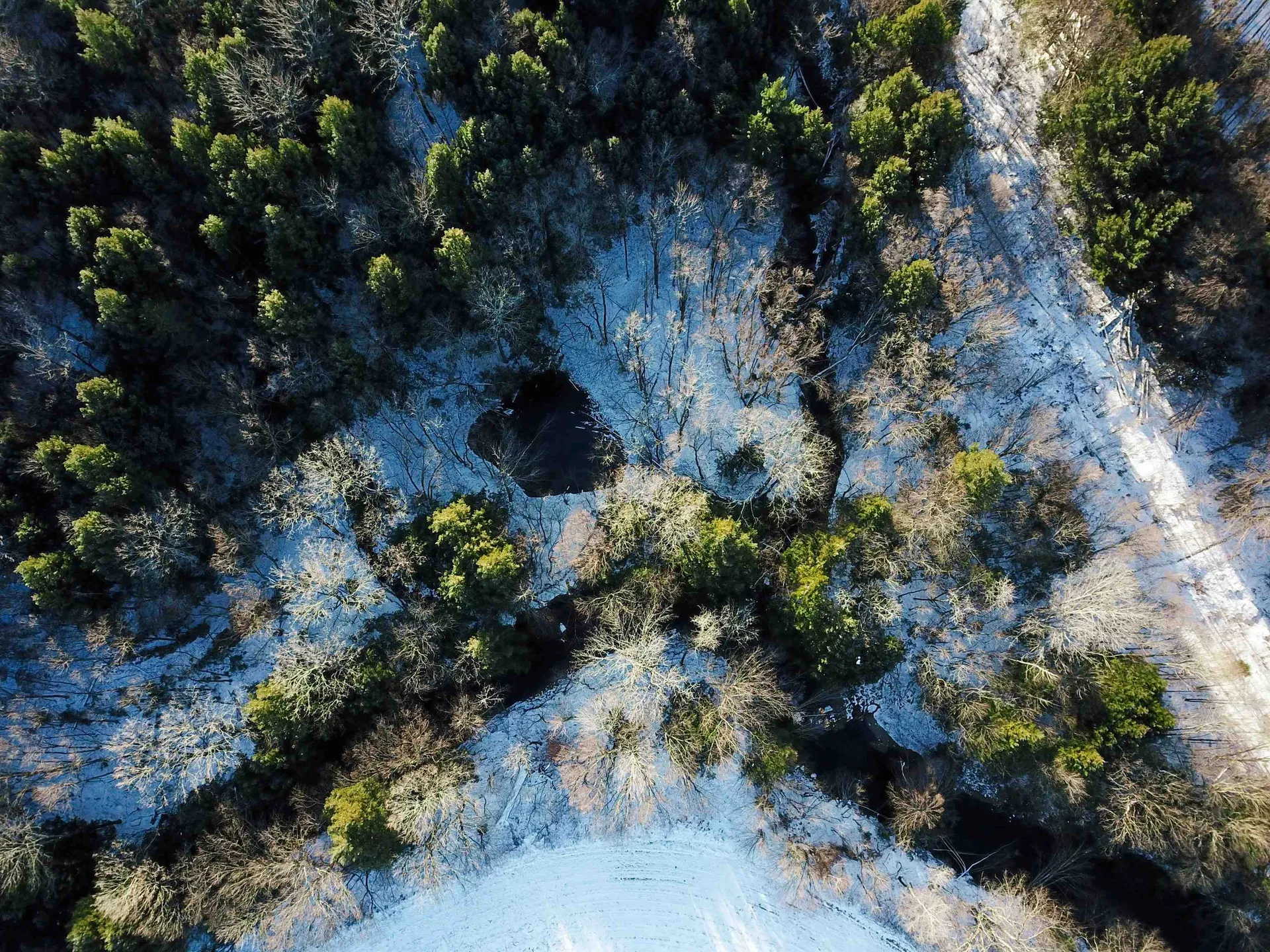 167 High Meadow Road Stowe VT 05672