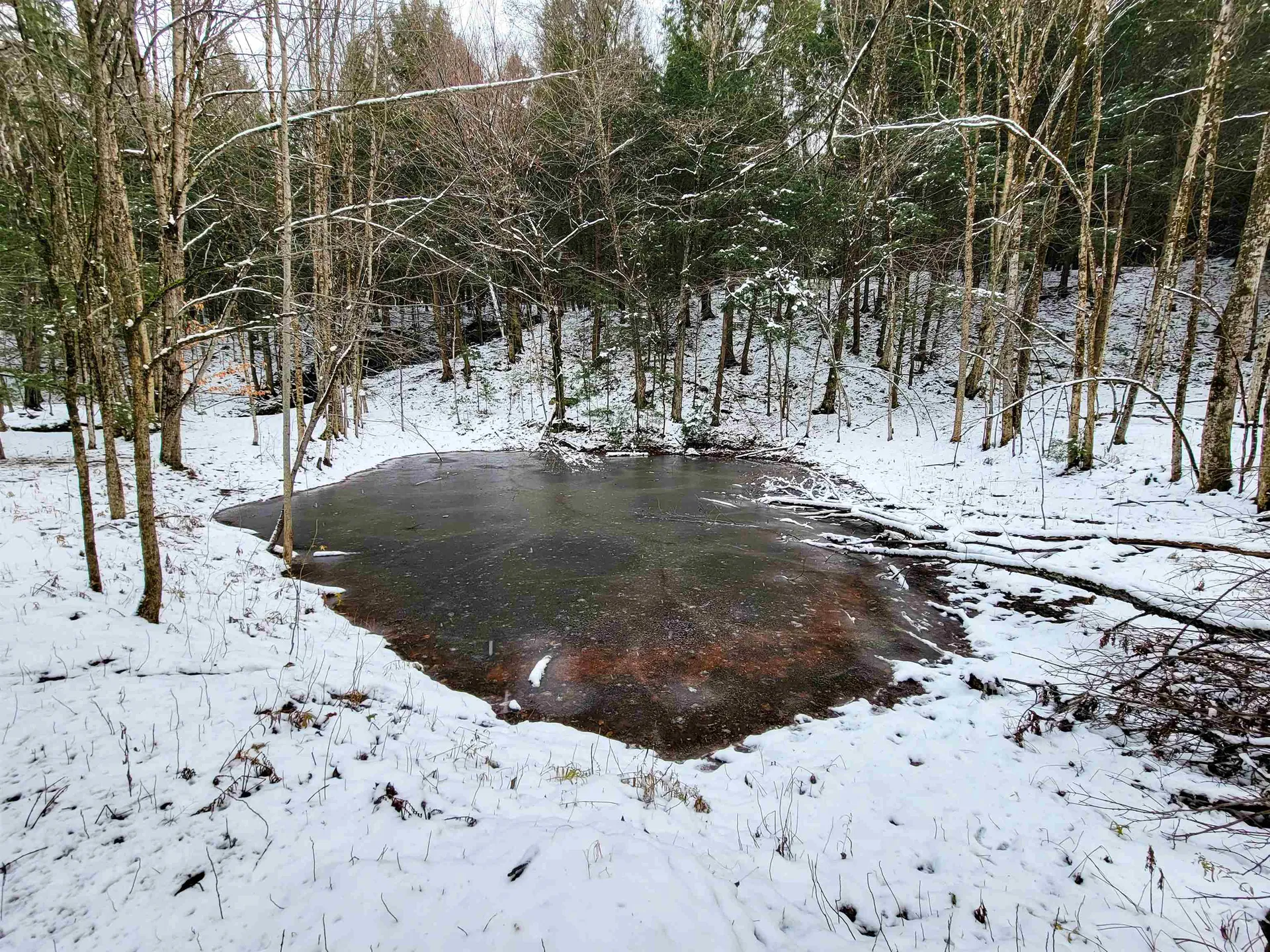 167 High Meadow Road Stowe VT 05672