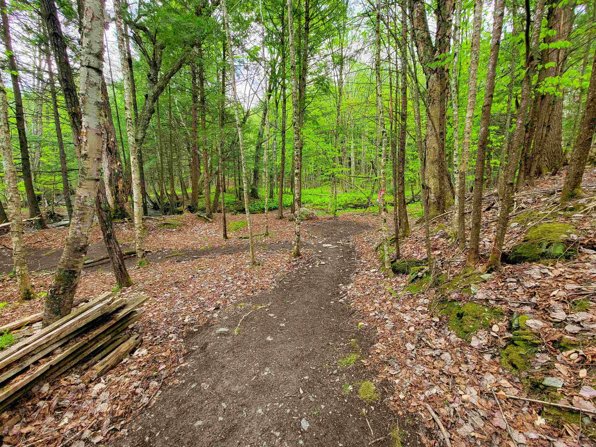 167 High Meadow Road Stowe VT 05672