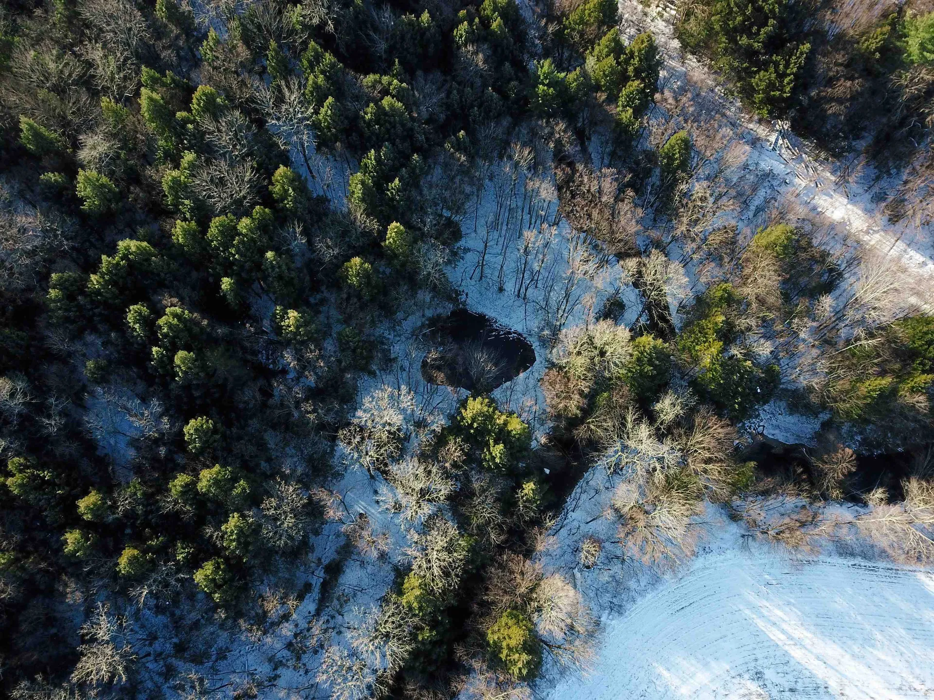 167 High Meadow Road Stowe VT 05672