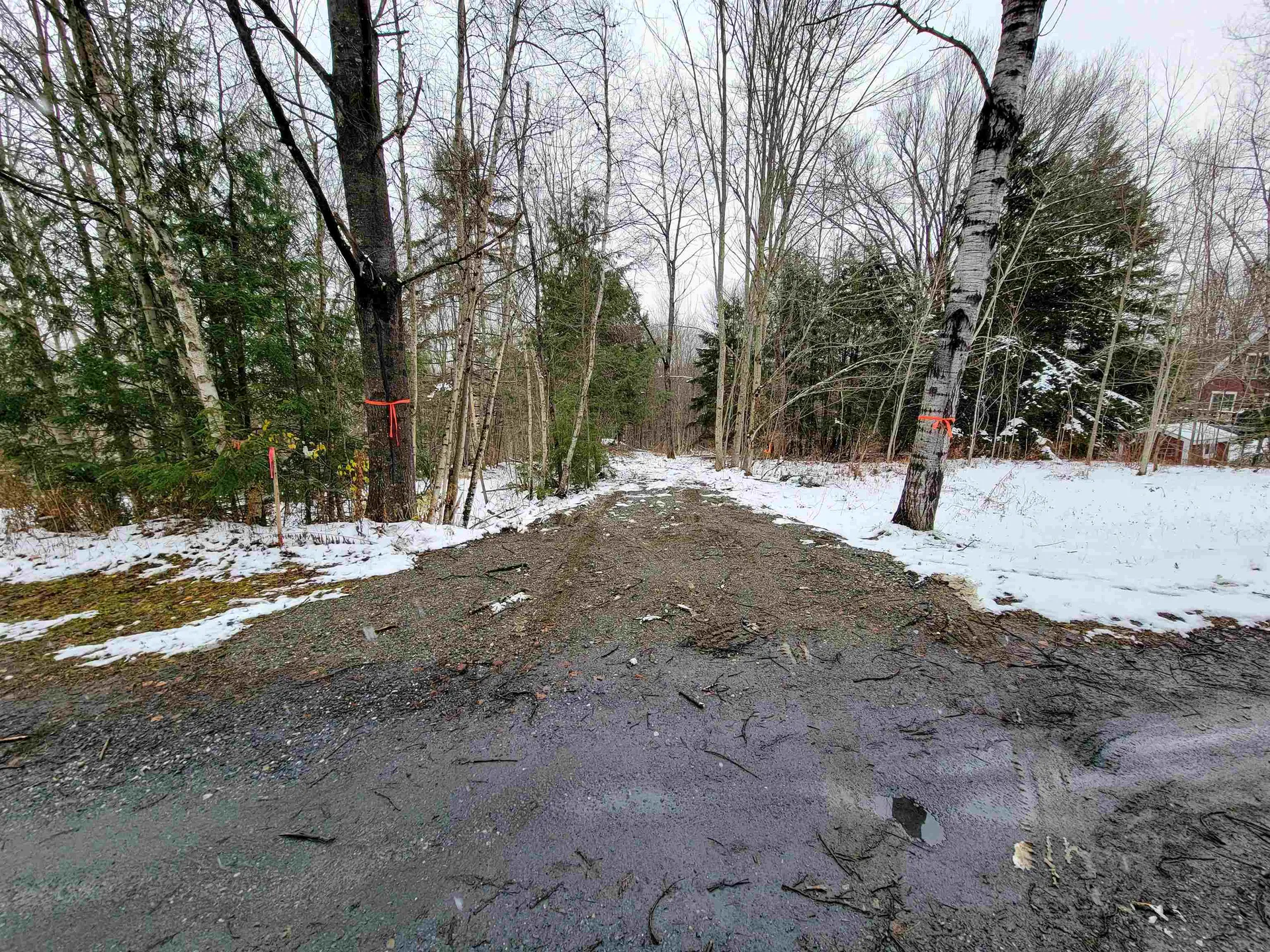 167 High Meadow Road Stowe VT 05672