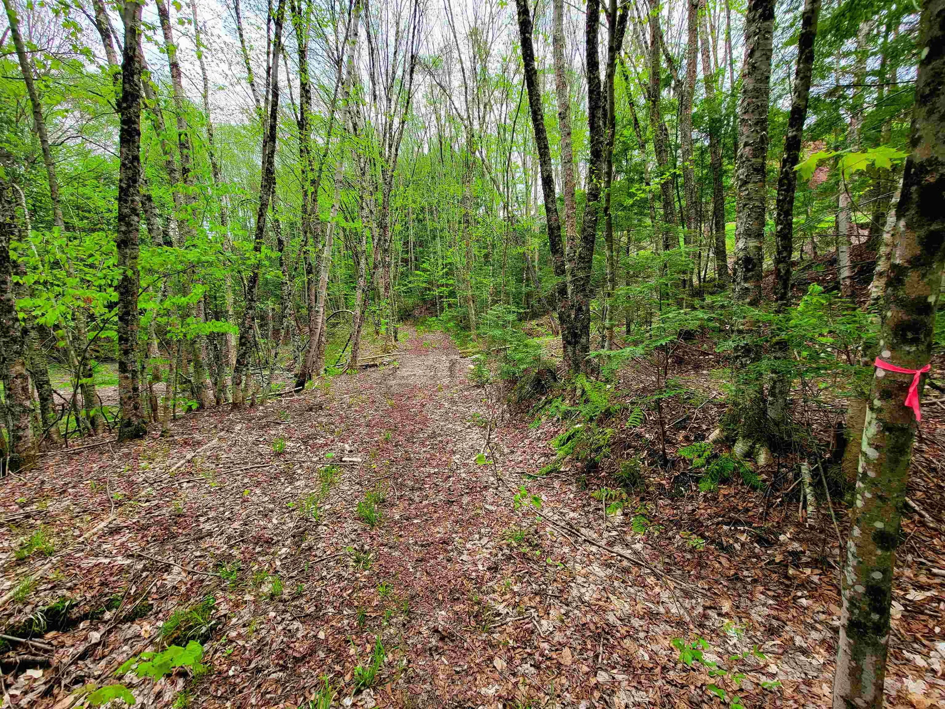 167 High Meadow Road Stowe VT 05672