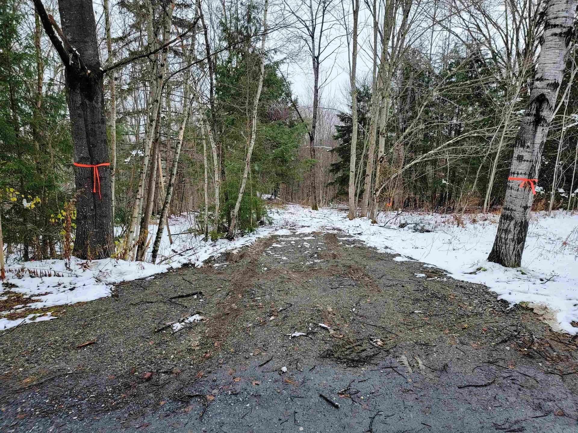 167 High Meadow Road Stowe VT 05672