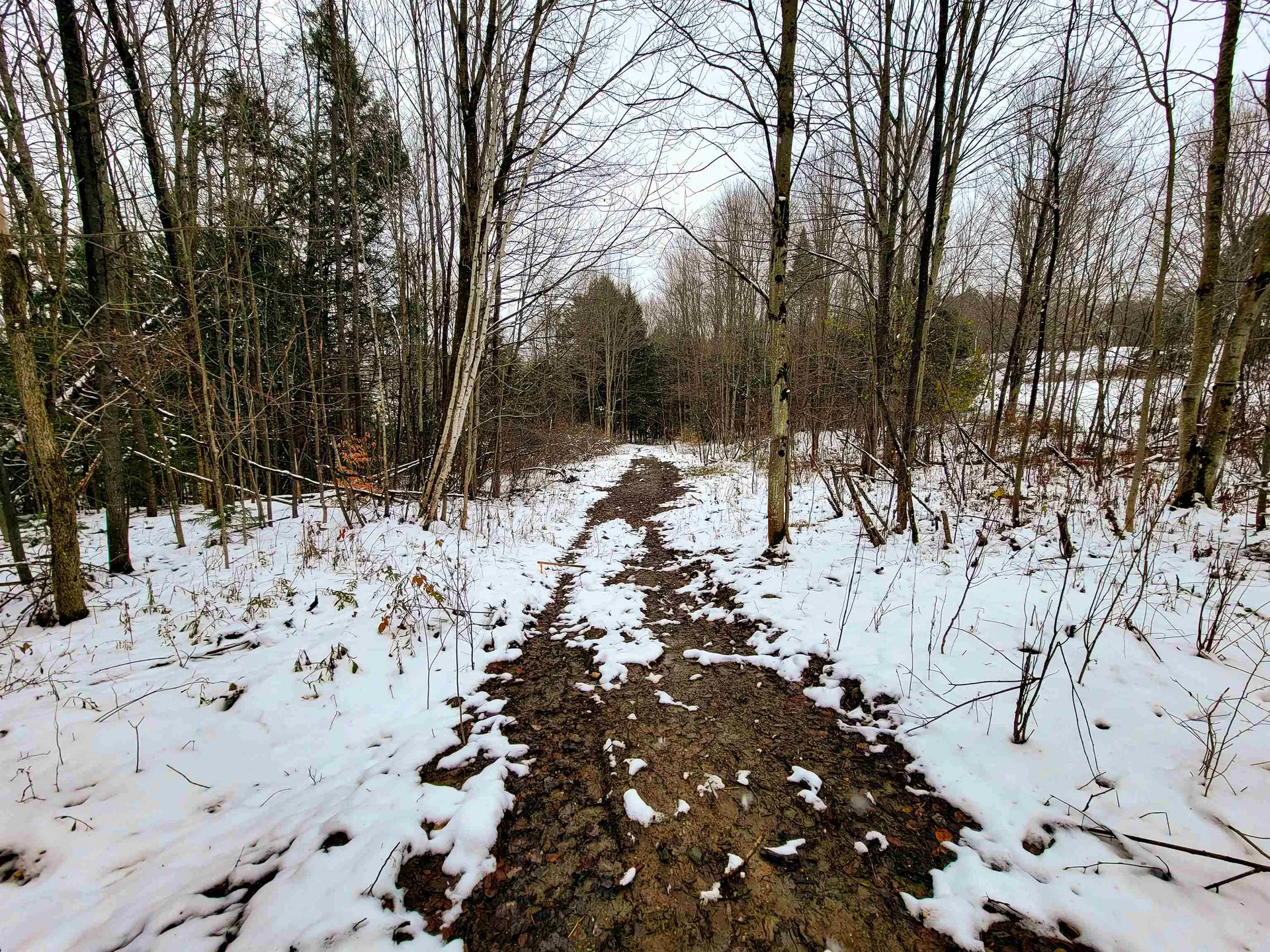 167 High Meadow Road Stowe VT 05672