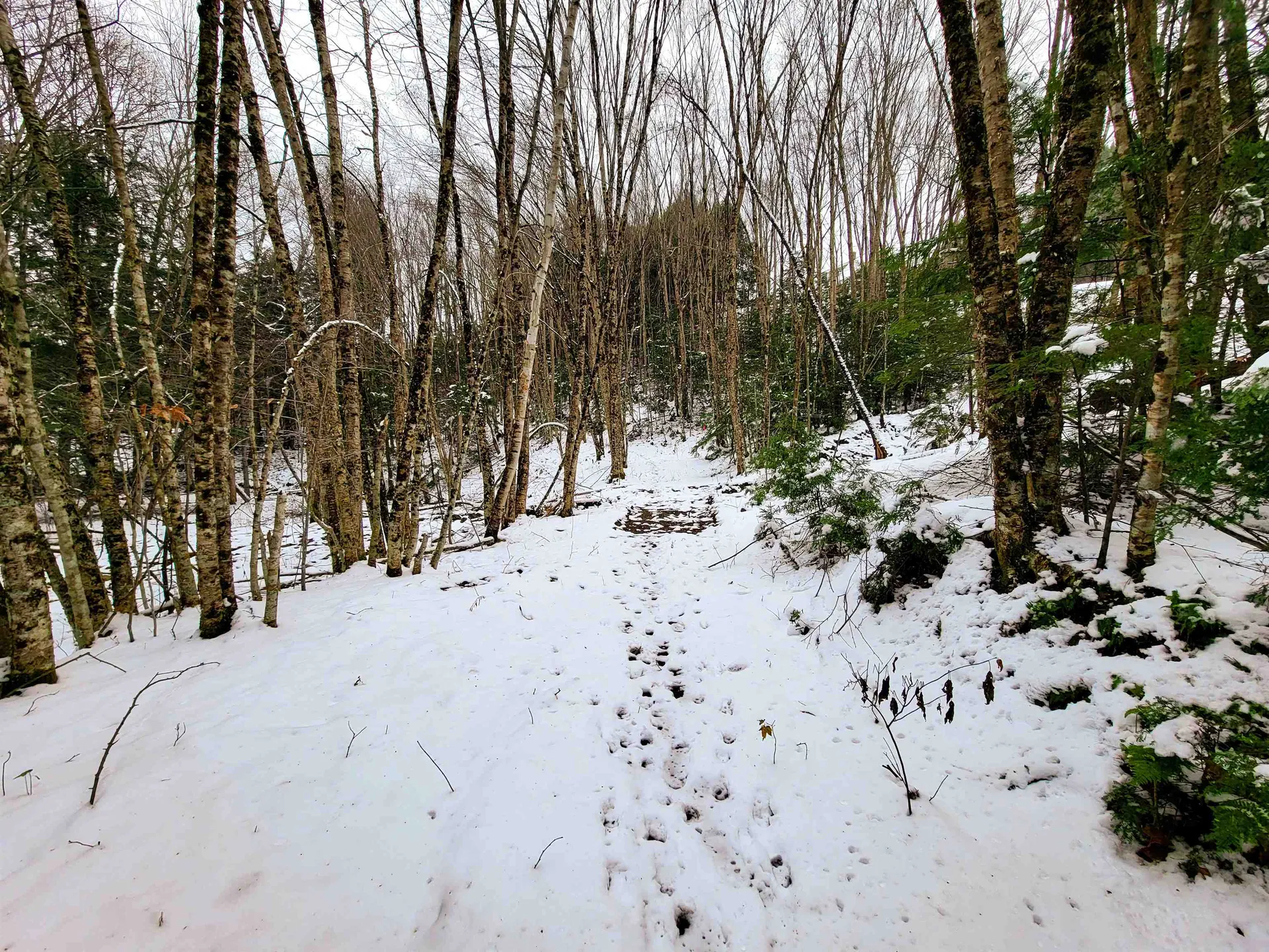 167 High Meadow Road Stowe VT 05672