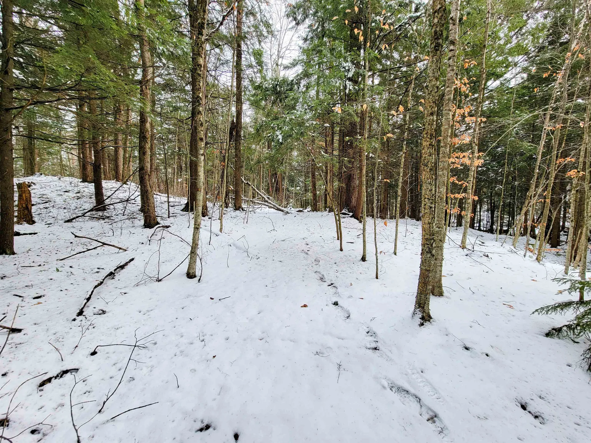 167 High Meadow Road Stowe VT 05672