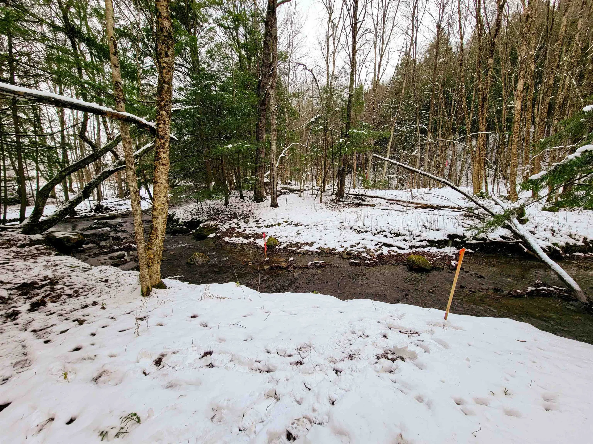 167 High Meadow Road Stowe VT 05672