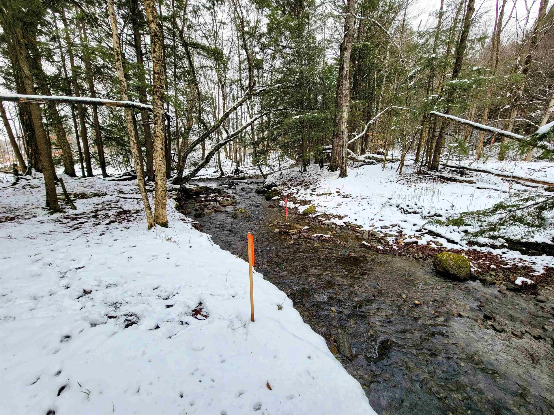 167 High Meadow Road Stowe VT 05672