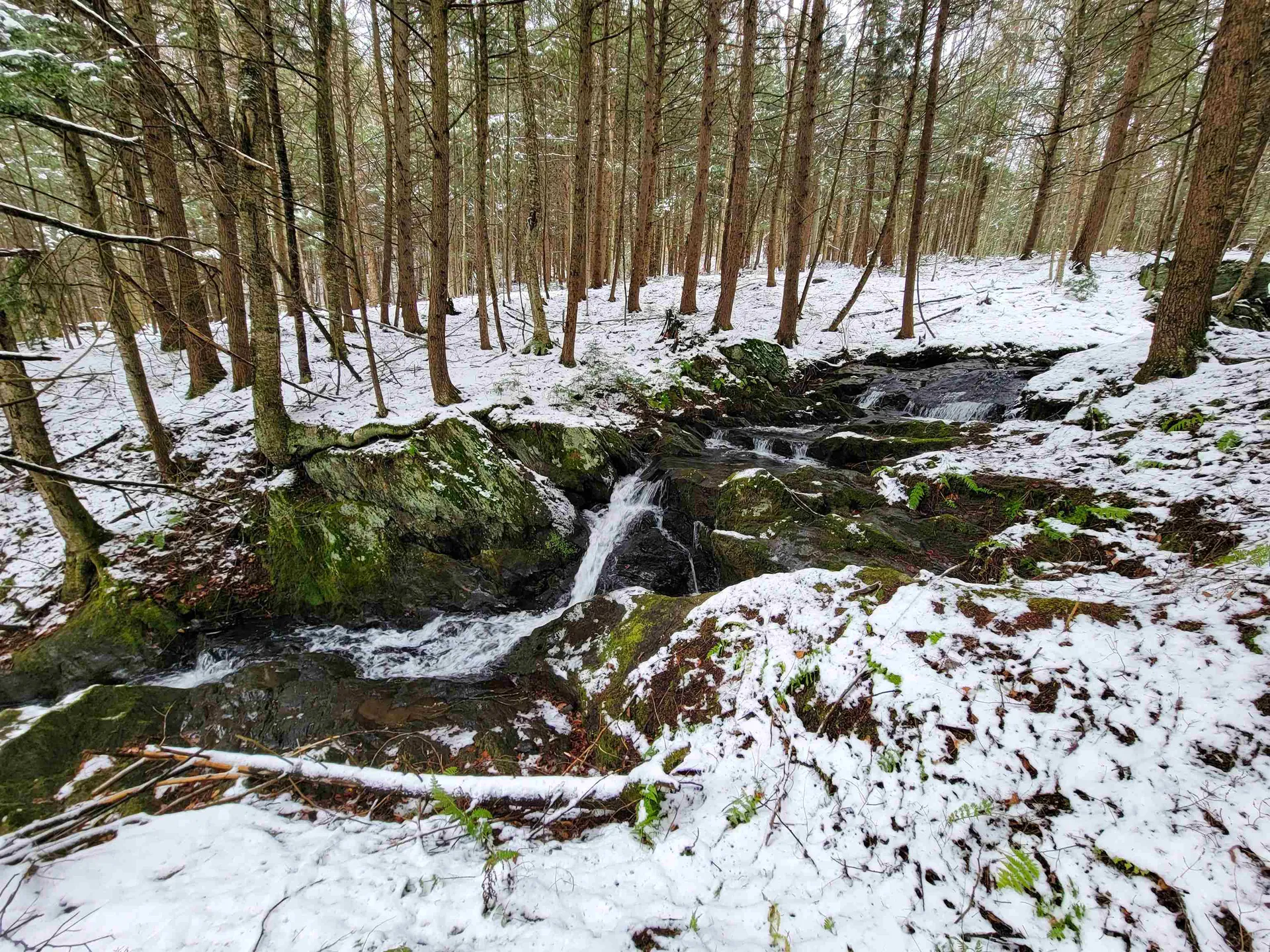 167 High Meadow Road Stowe VT 05672