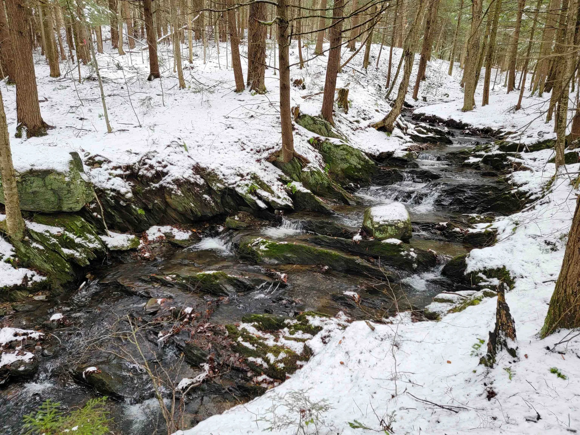 167 High Meadow Road Stowe VT 05672