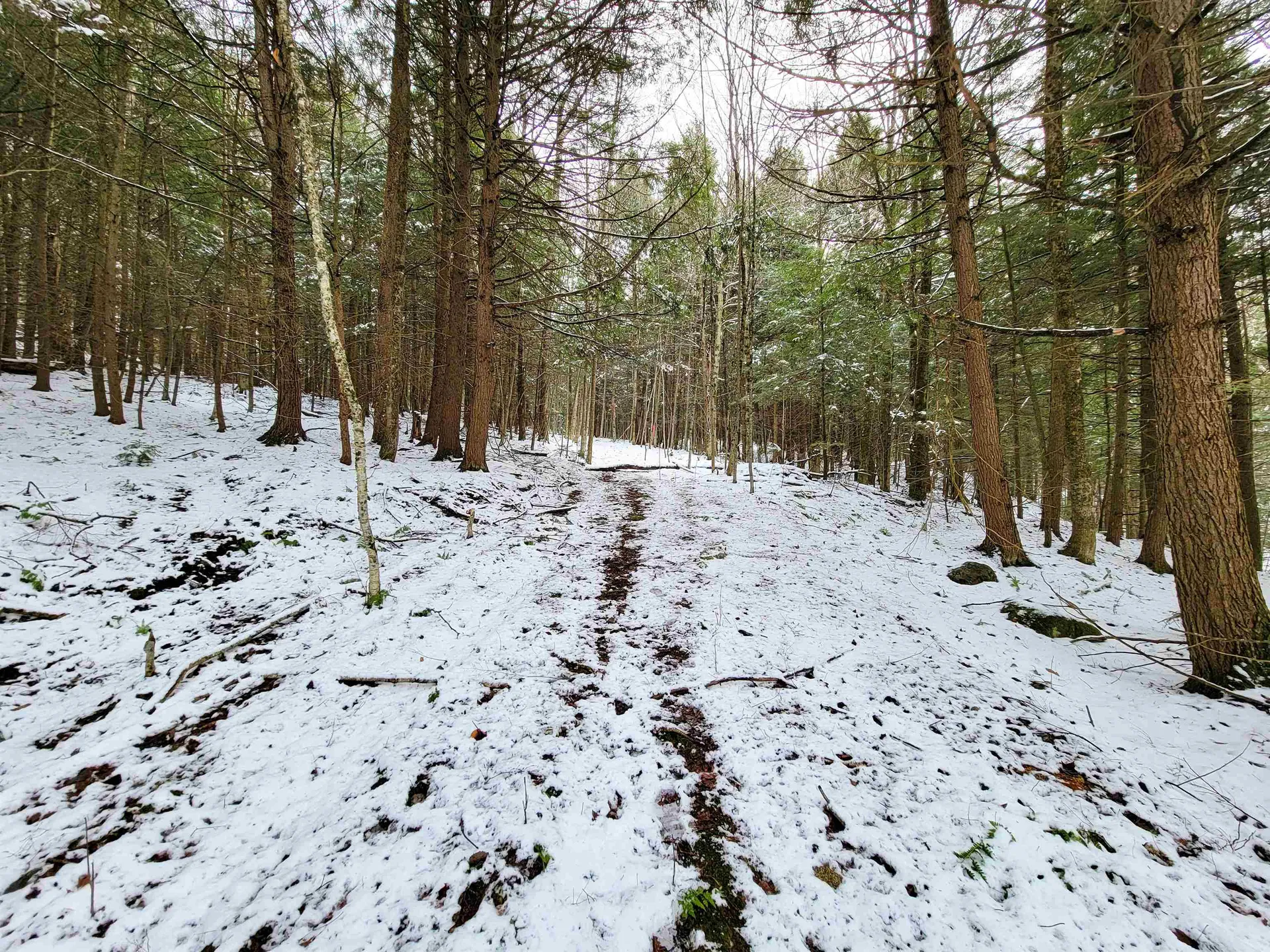 167 High Meadow Road Stowe VT 05672