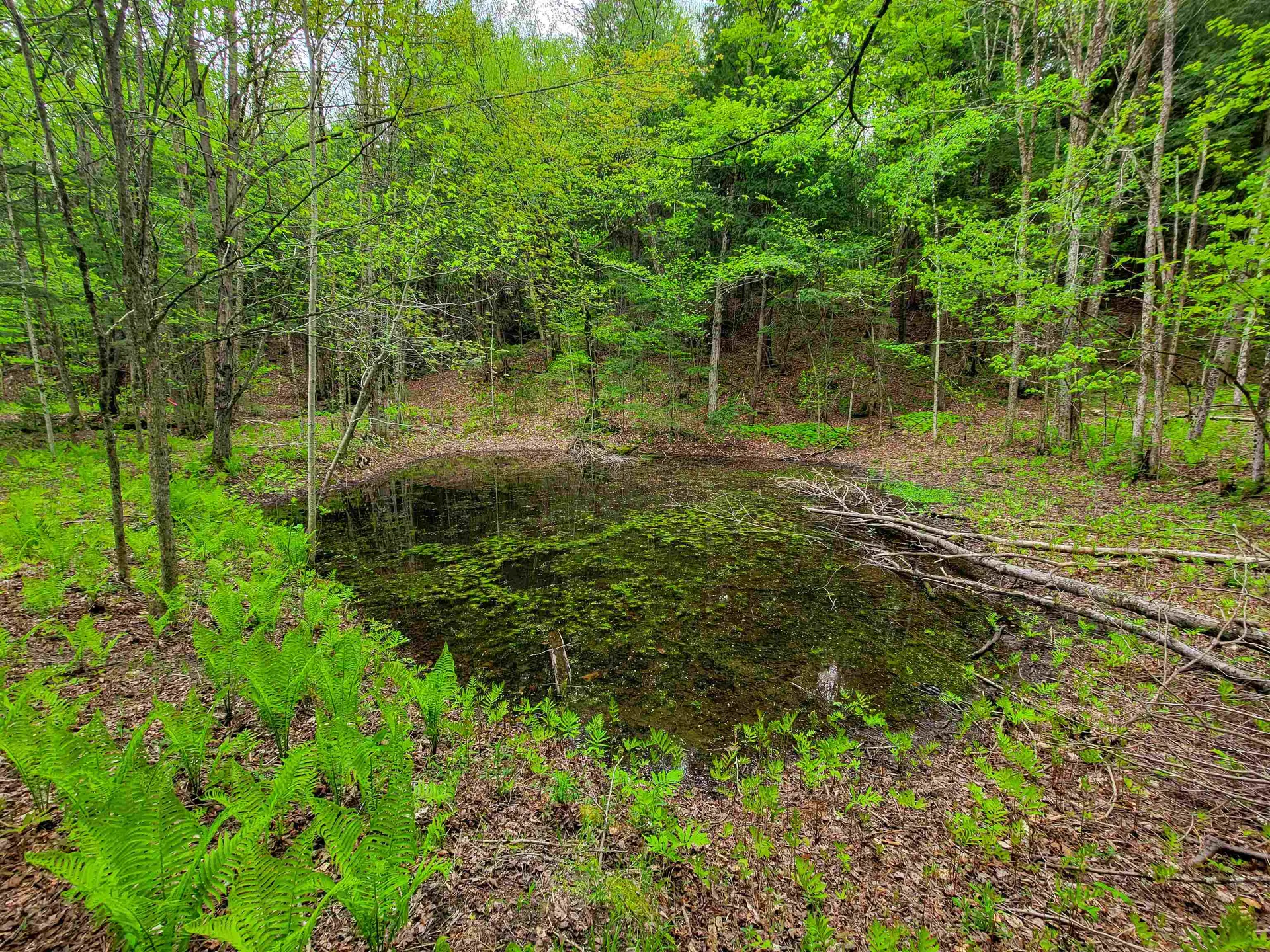 167 High Meadow Road Stowe VT 05672