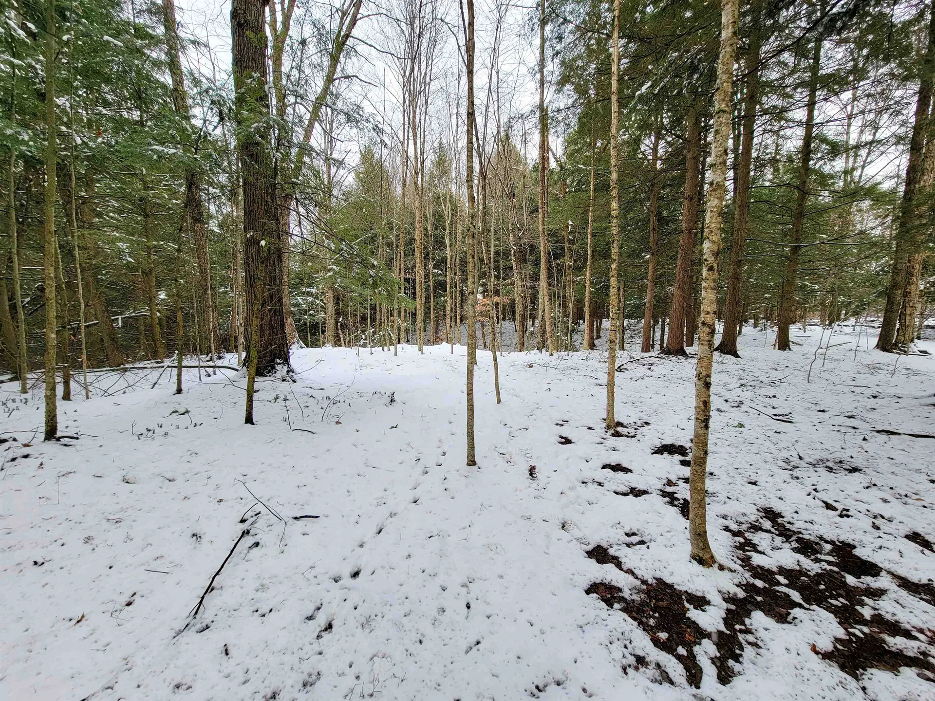 167 High Meadow Road Stowe VT 05672