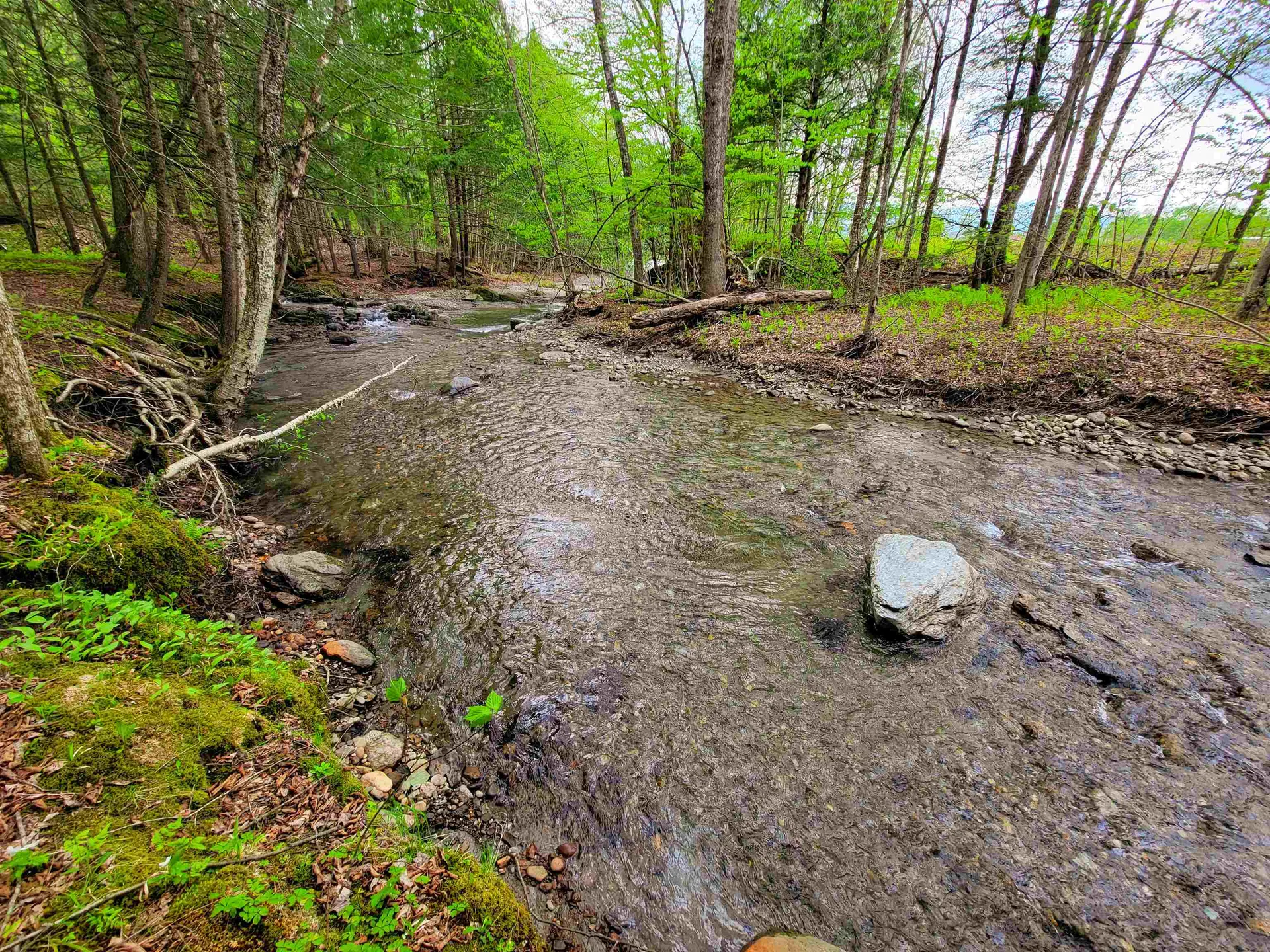 167 High Meadow Road Stowe VT 05672