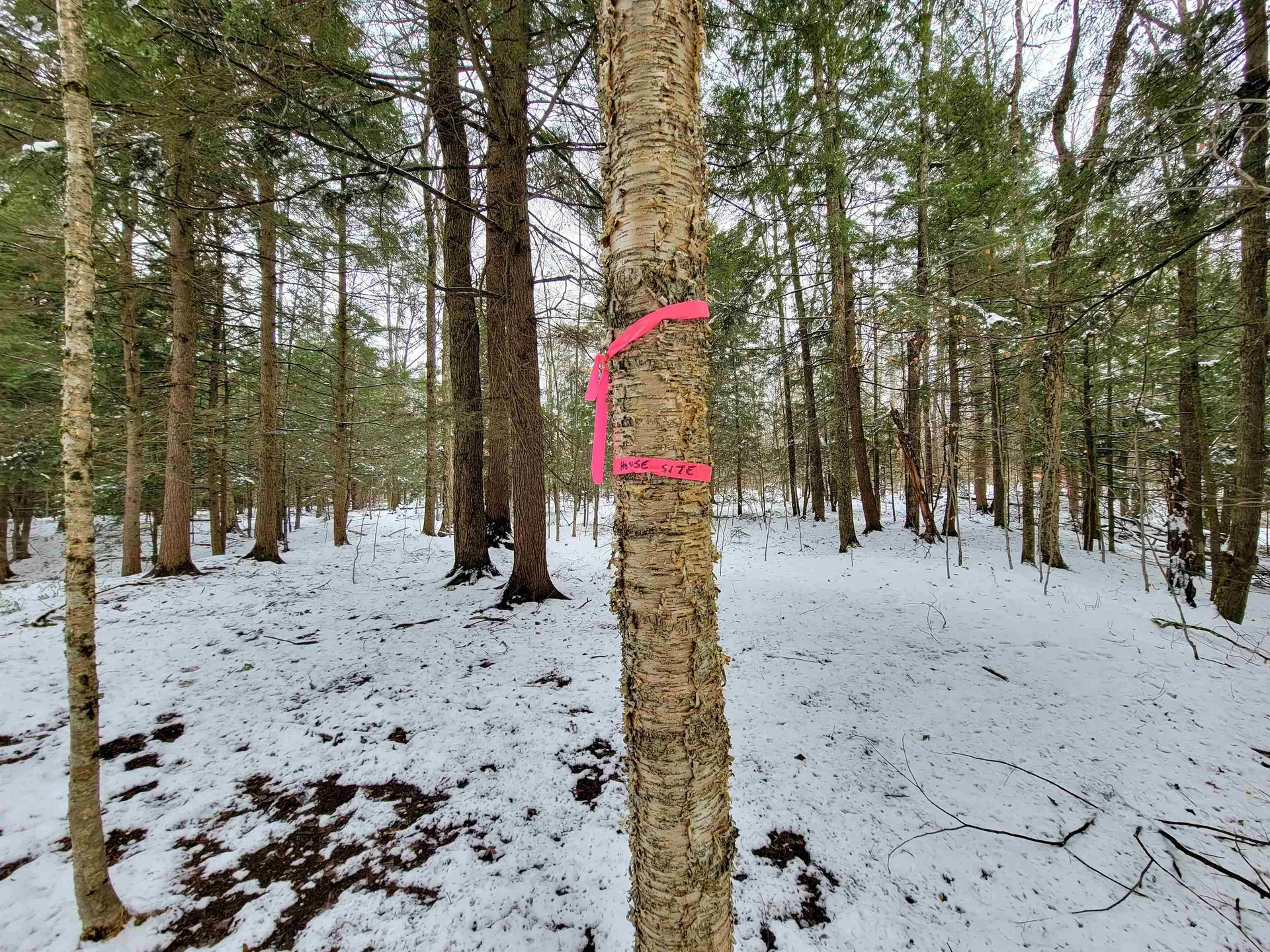 167 High Meadow Road Stowe VT 05672