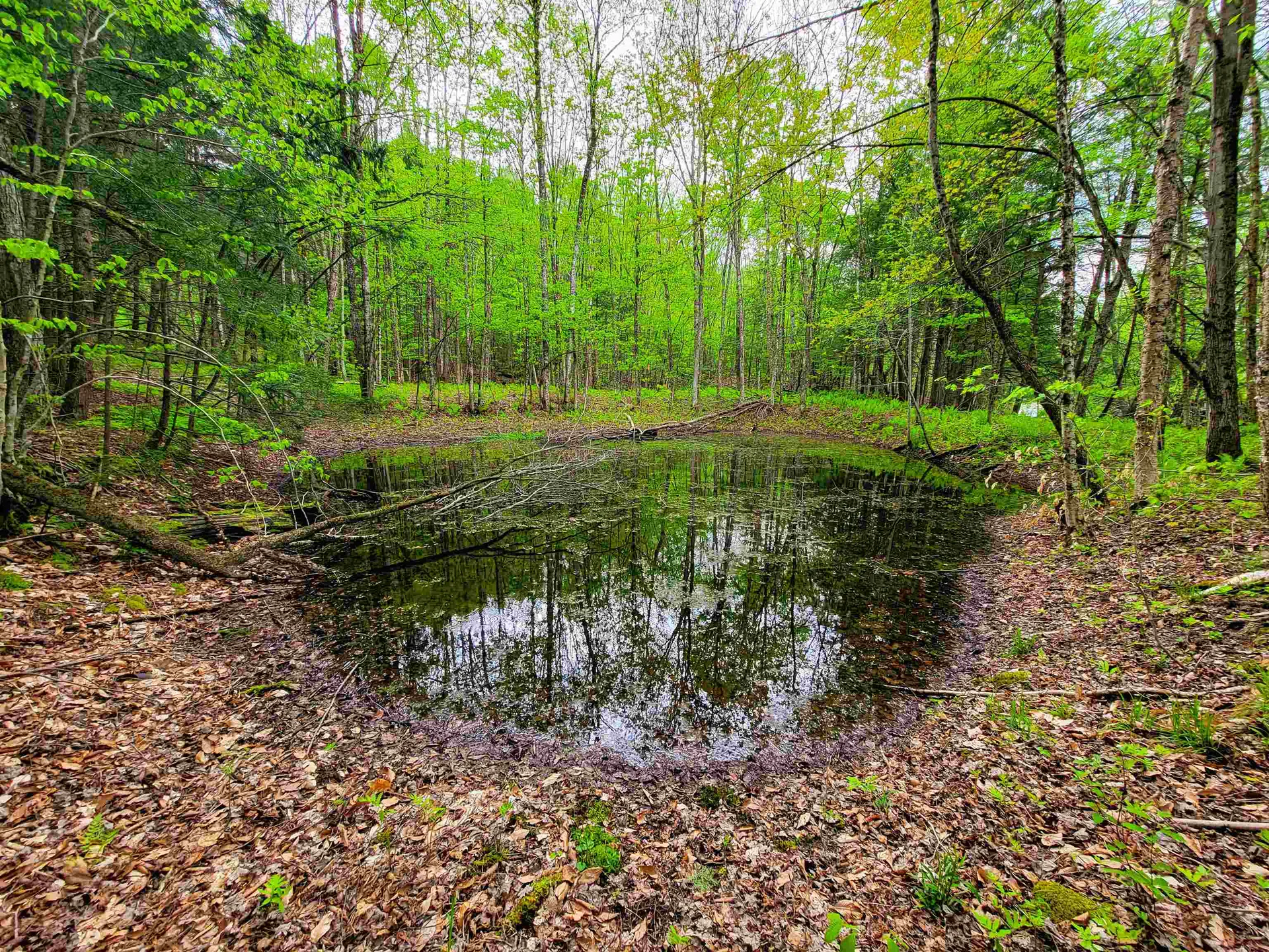 167 High Meadow Road Stowe VT 05672