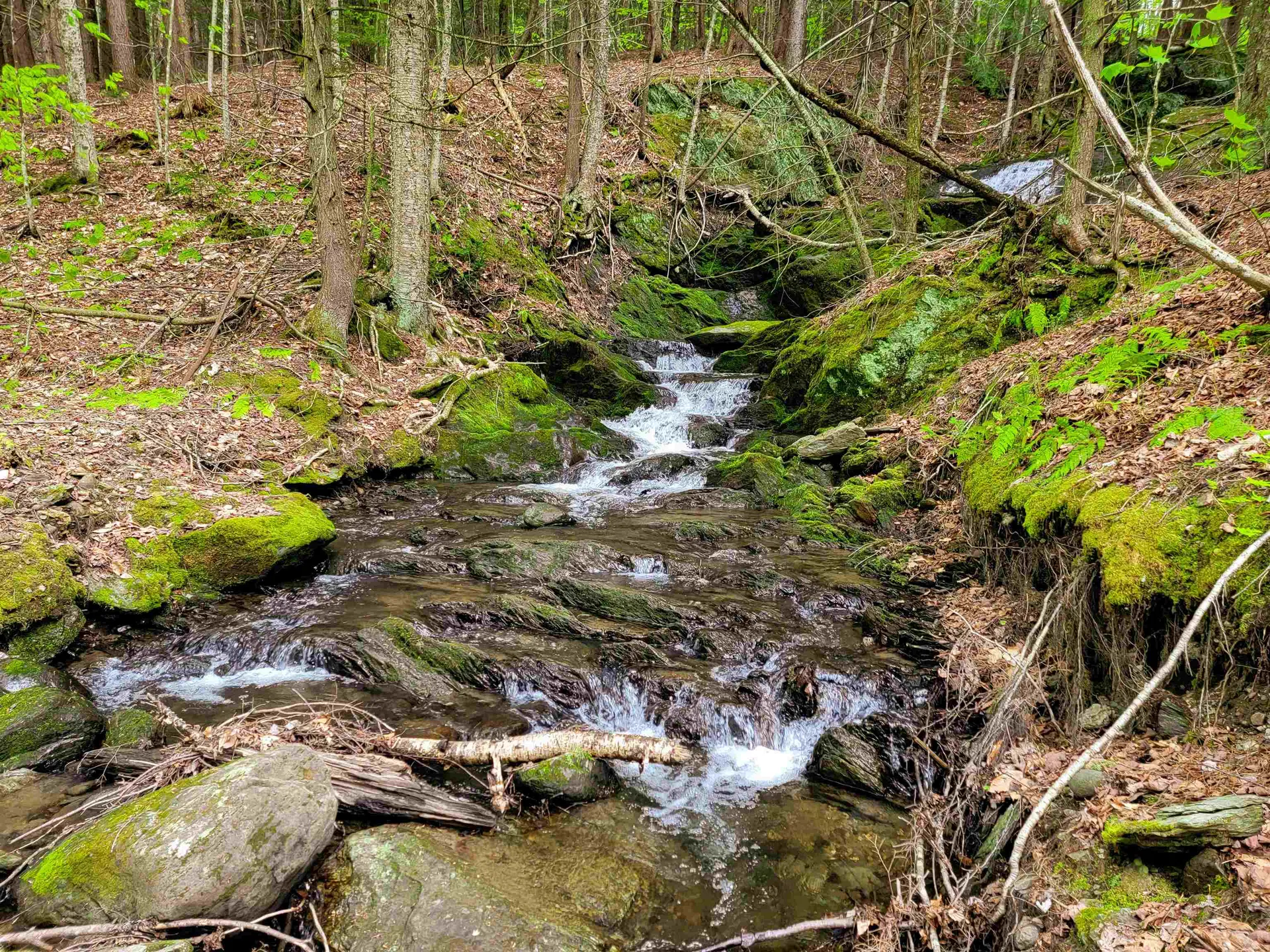 167 High Meadow Road Stowe VT 05672